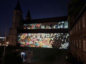 Lichtungen, EVI Lichtungen, Licht Kunst