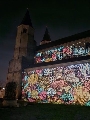 Lichtungen, EVI Lichtungen, Licht Kunst