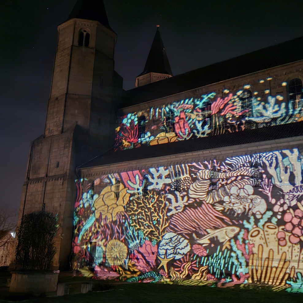 Lichtungen, EVI Lichtungen, Licht Kunst